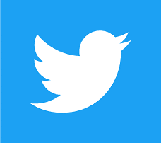twitter icon square logo preview